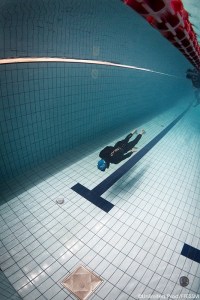 13423866_1233774196647561_1834880254539015672_n