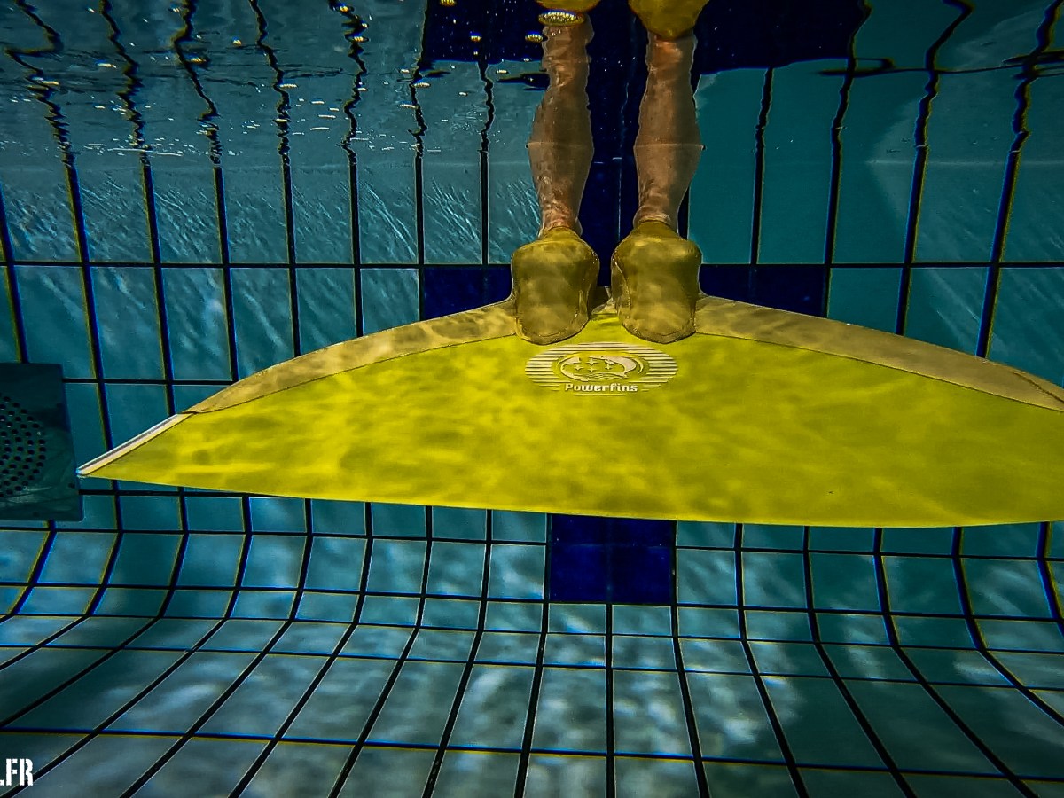 Stage apnée dynamique Monopalme et Bipalme Nov&nbsp;2024